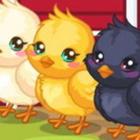 Easter Baby Chick Care