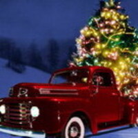 Christmas Tree Delivery