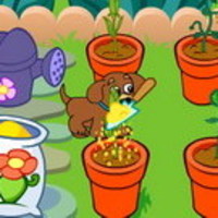Dora's Magical Garden