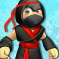 Ninja Gravity Adventure