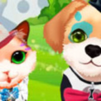 Kitten & the Dog