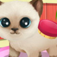 Paws to Beauty 3: Puppies & Kittens