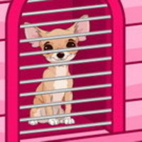 Chihuahua Lover Escape