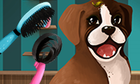 Become a Puppy Groomer