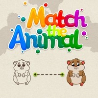 Match The Anima