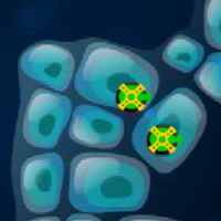 Cell Defense