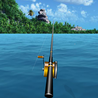 Sea Fishing Tropical