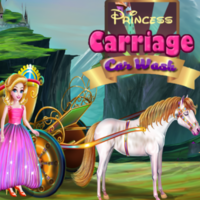 Princess Carriage Car Wash