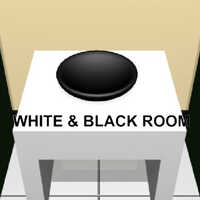 White & Black Room