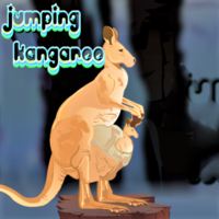Jumping Kangaroo