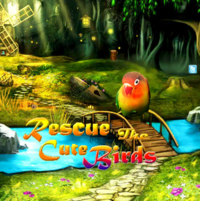 Rescue The Cute Bird