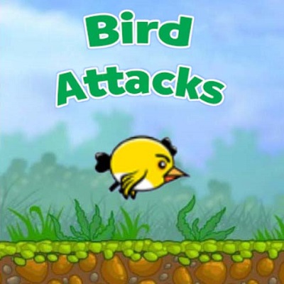 Bird Attacks