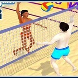 Summer Sports: Volleyball
