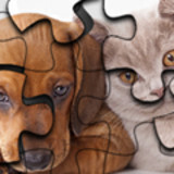 Cat vs Dog Puzzle