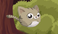 JumpKitty