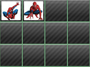 Spiderman Memory