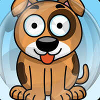 Animal Pop